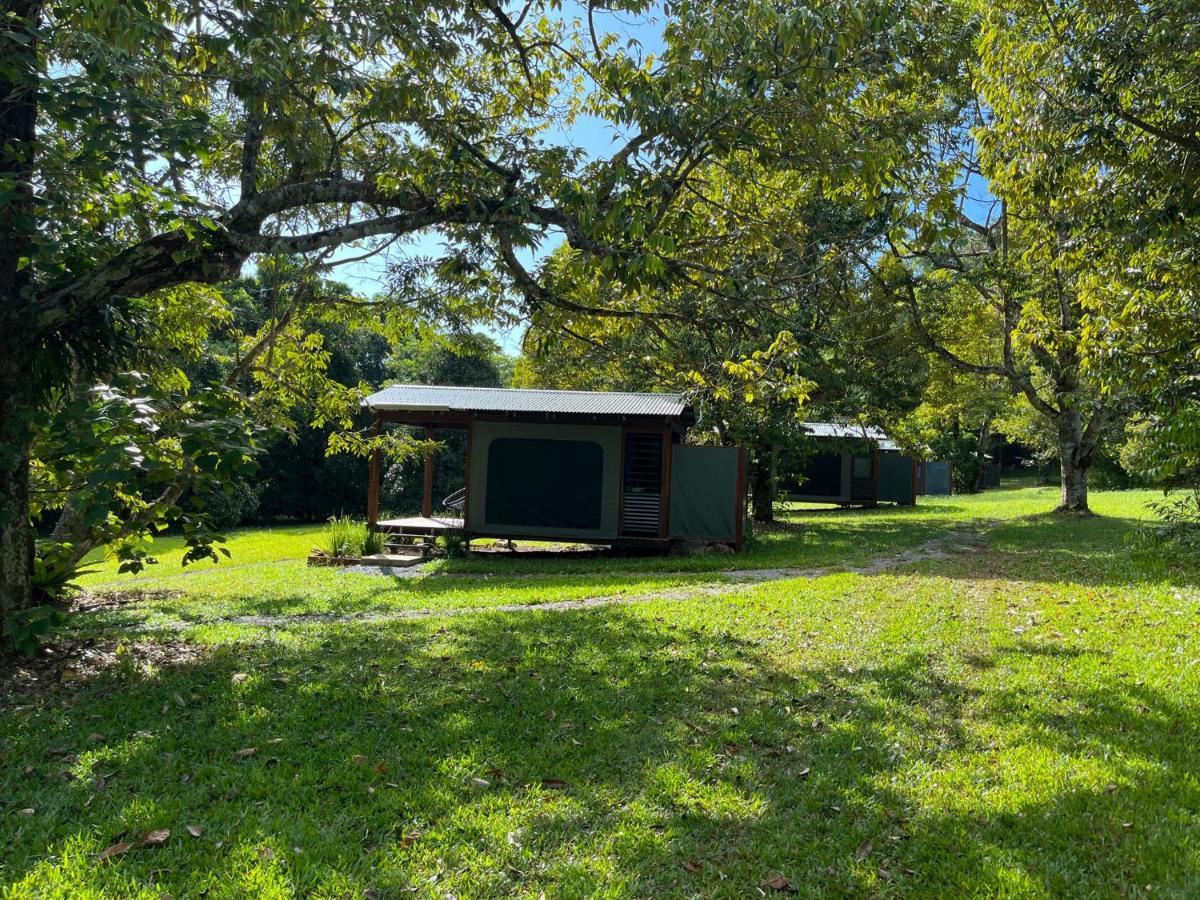 Noah Creek Eco Huts Βίλα Cape Tribulation Εξωτερικό φωτογραφία