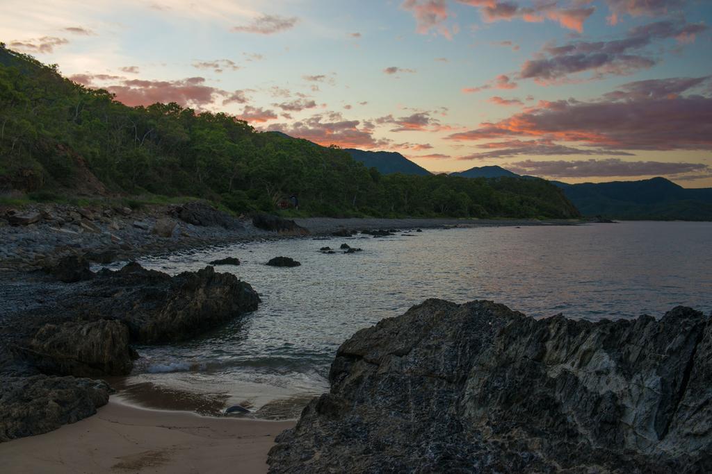Noah Creek Eco Huts Βίλα Cape Tribulation Εξωτερικό φωτογραφία