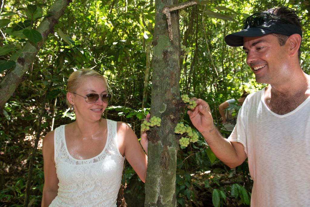 Noah Creek Eco Huts Βίλα Cape Tribulation Εξωτερικό φωτογραφία