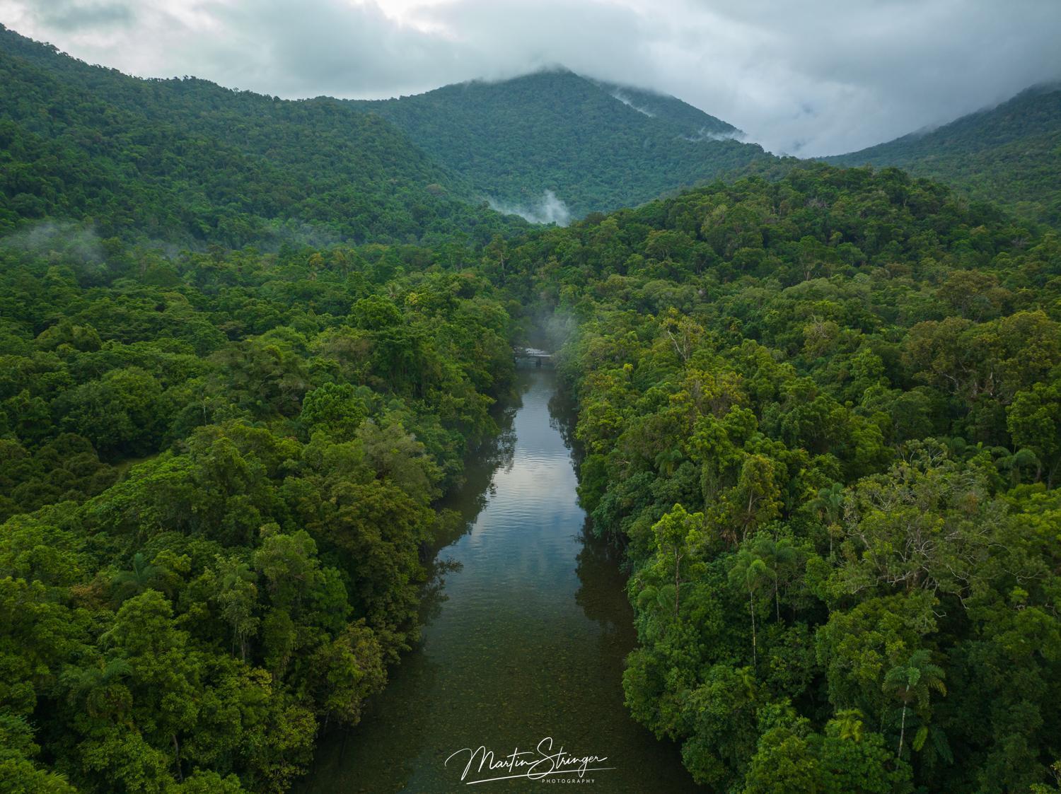 Noah Creek Eco Huts Βίλα Cape Tribulation Εξωτερικό φωτογραφία