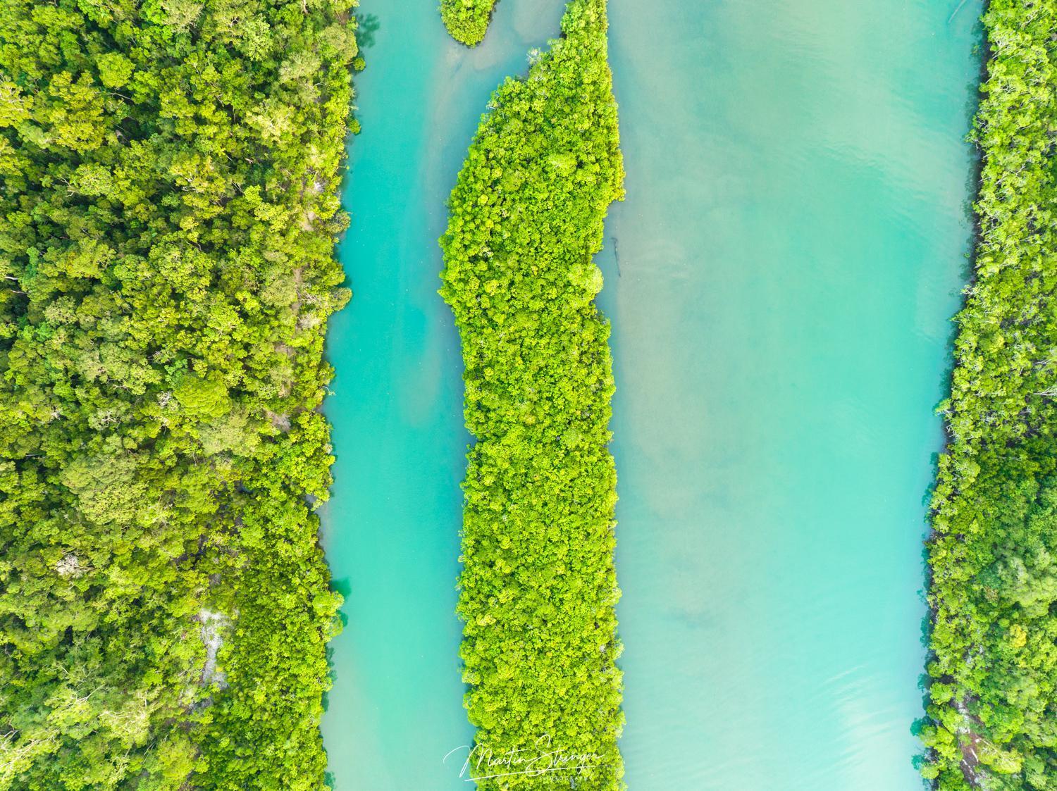 Noah Creek Eco Huts Βίλα Cape Tribulation Εξωτερικό φωτογραφία