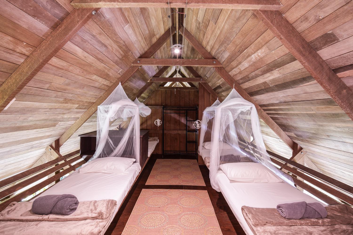 Noah Creek Eco Huts Βίλα Cape Tribulation Εξωτερικό φωτογραφία