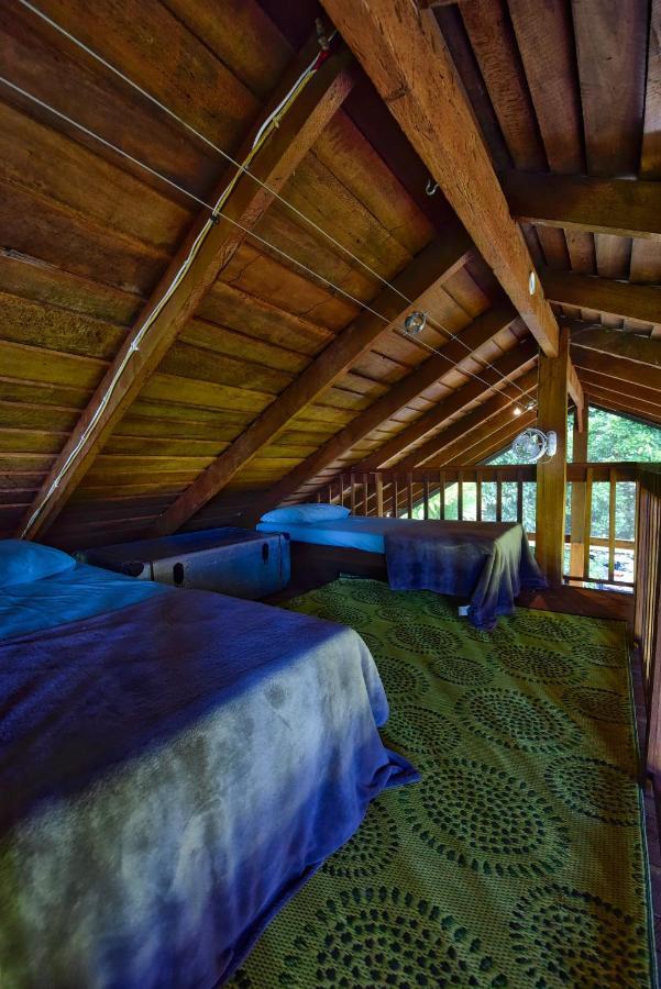 Noah Creek Eco Huts Βίλα Cape Tribulation Εξωτερικό φωτογραφία